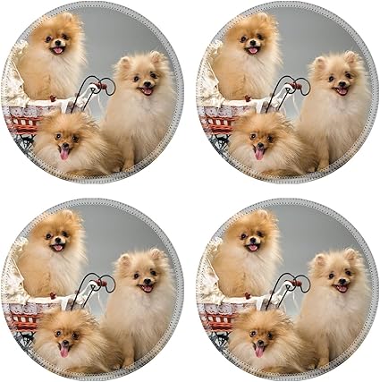 Amazon Msdラウンドコースターイメージ Llecto 2匹の犬の品種aポメラニアンスピッツ犬in Studio On A Neutral背景 Wxaeakanna Three Puppies With A 434 Msd コースター 通販