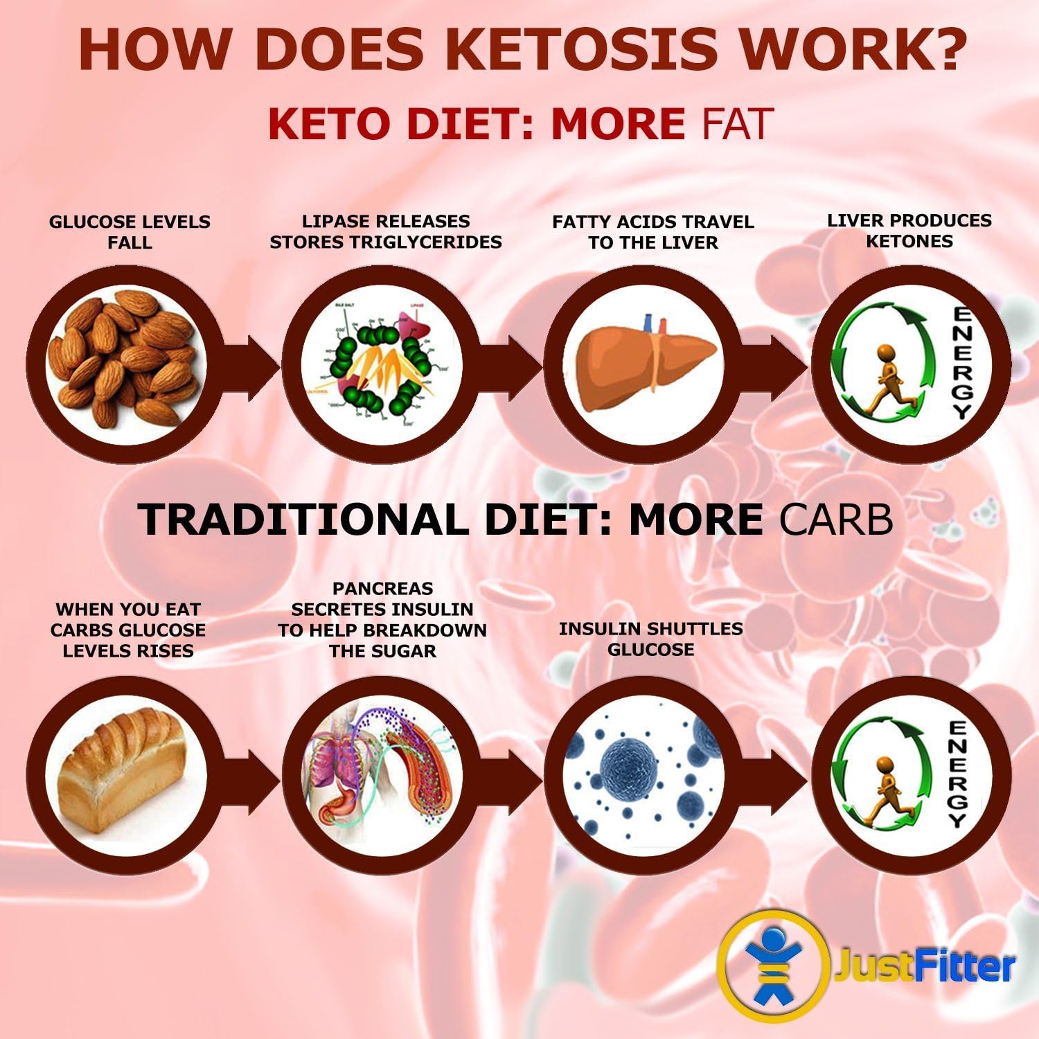 Ketone Keto Urine Test Strips. Look & Feel Fabulous on a Low Carb Ketogenic or HCG Diet. Get Your Body Back! Accurately Measure Your Fat Burning Ketosis Levels.: Health & Personal Care