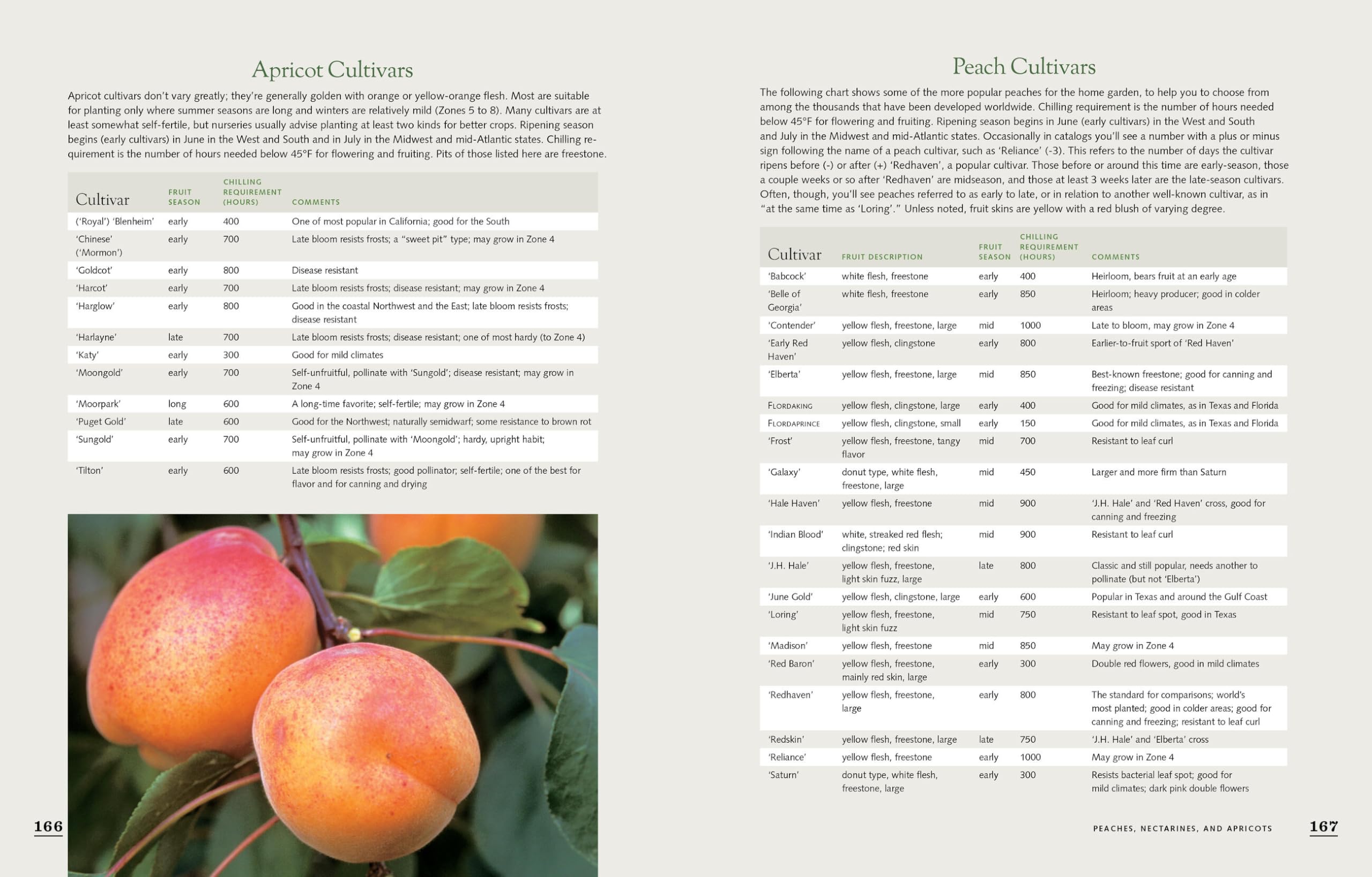 The Fruit Gardener's Bible: A Complete Guide to Growing Fruits and Nuts in the Home Garden