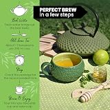 Alpi Nature Organic Nettle Tea 125g Dried Loose Leaf Botanical view 7