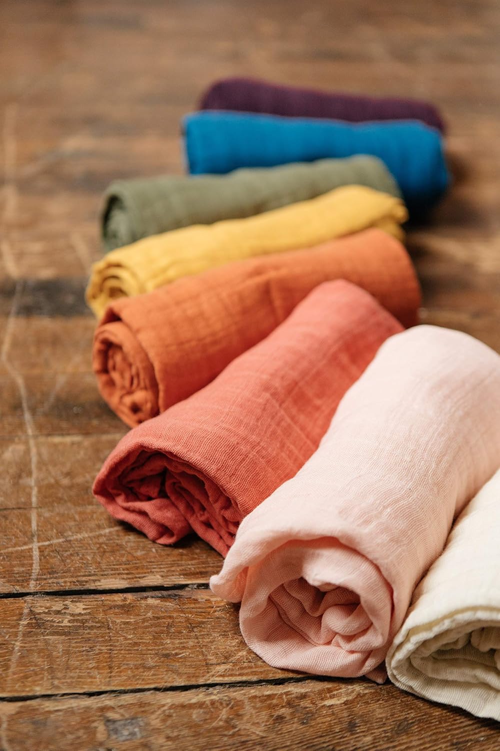 little unicorn embroidosaurus