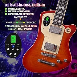 Gitafish Wireless Smart Electric Lp Small