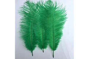 Shekyeon Dark Green 10-12inch 25-30cm Ostrich Feather Home Decoration DIY Craft Pack of 10