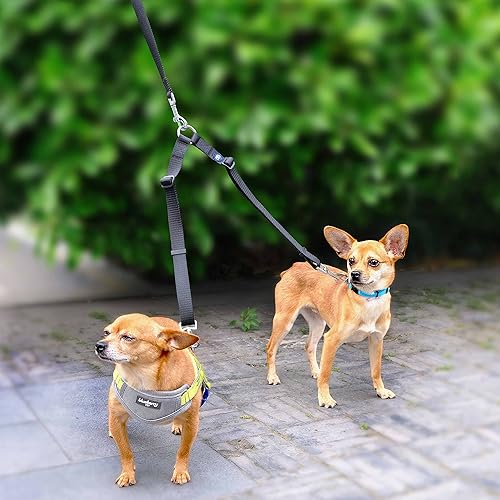 Blueberry Pet Essentials Durable Classic Double Dog Leash Coupler