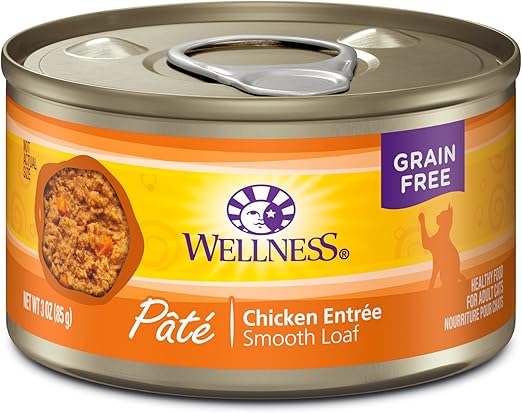 amazon wellness cat food