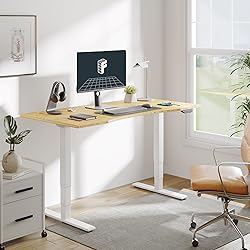 FLEXISPOT E6 Bamboo Dual Motor 3 Stages Standing