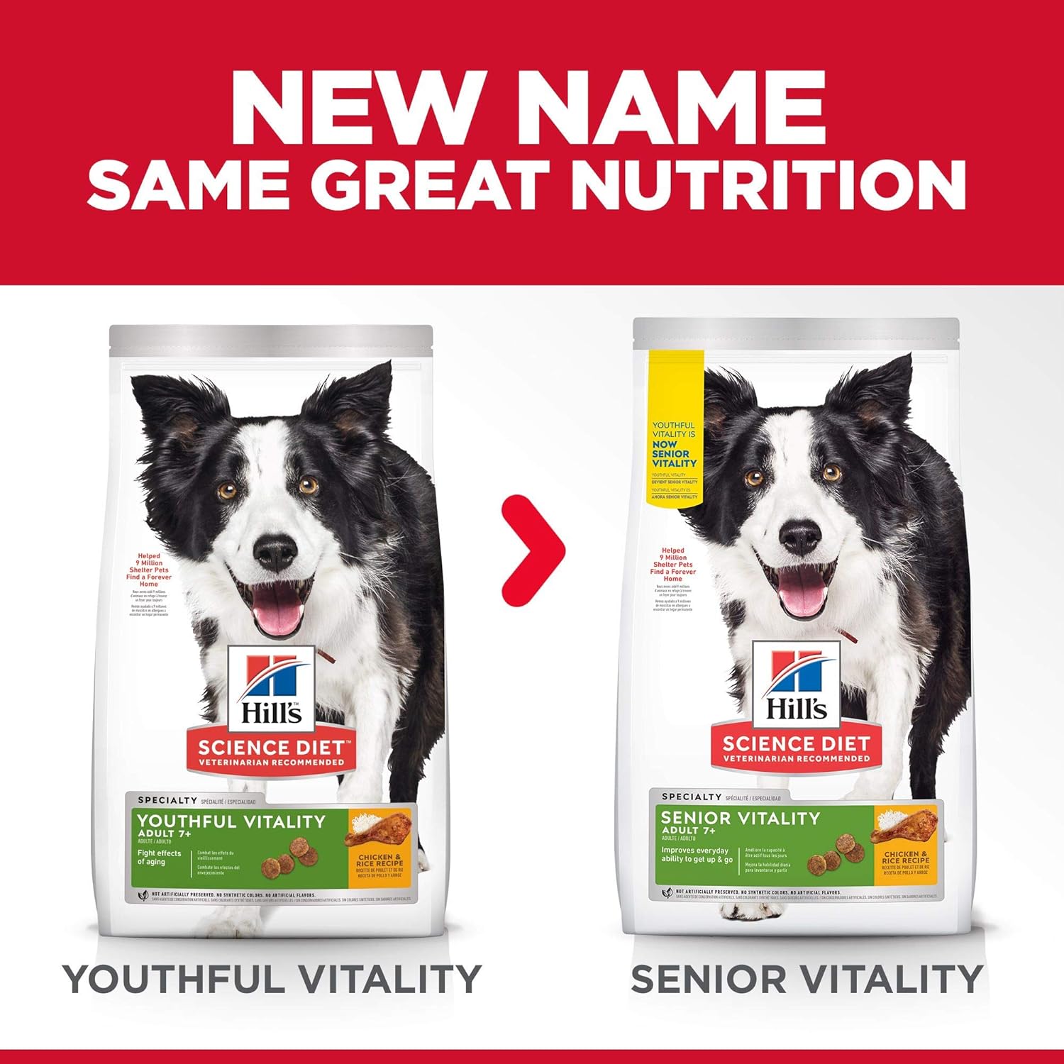 hill's science diet youthful vitality dog