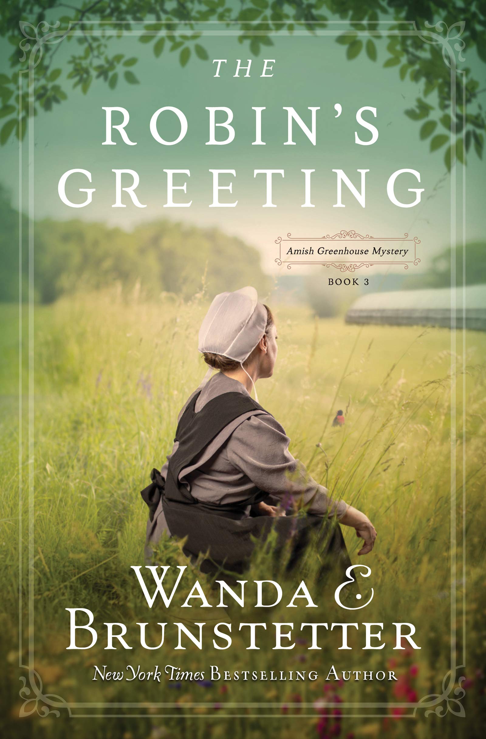 The Robin S Greeting Amish Greenhouse Mystery 3 Volume 3 Brunstetter Wanda E Amazon Com Books