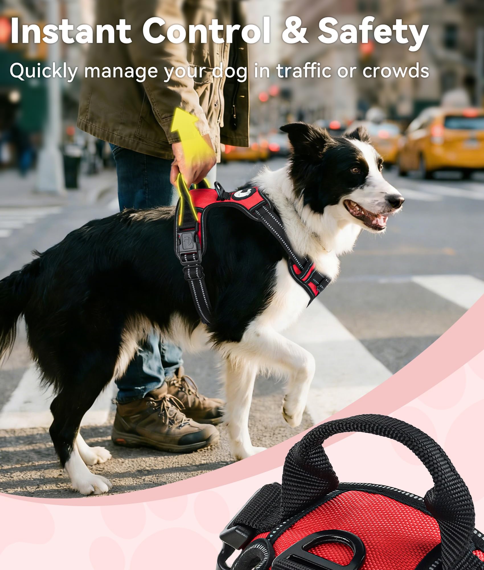 View 4