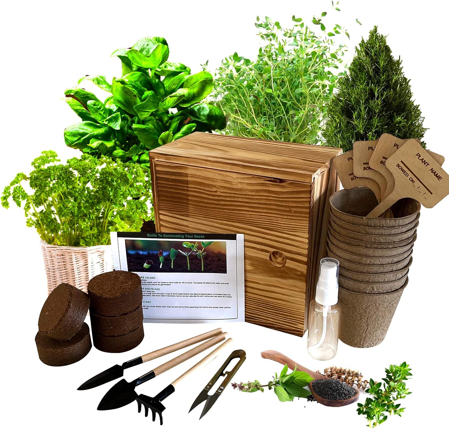 Hand-Mart 4 Herb Seeds Complete with Wood Planter Herb Garden, Basil Parsley Rosemary Thyme, Including Soil, Pots, 3 Garden-Tool, Pruner, Sprayer, Plant Labels. DIY Craft Gift for Kids Adults.