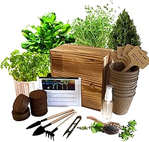 Hand-Mart 4 Herb Seeds Complete with Wood Planter Herb Garden, Basil Parsley Rosemary Thyme, Including Soil, Pots, 3 Garden-Tool, Pruner, Sprayer, Plant Labels. DIY Craft Gift for Kids Adults.