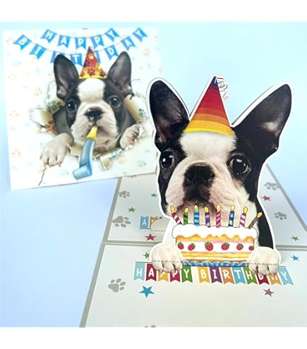 Carte D'anniversaire Shih Tzu - Texte Modifiable, Voeux De Chien