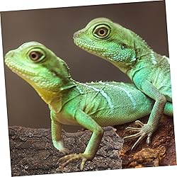 MARMERDO 4pcs Reptile Bark Decoration Reptile