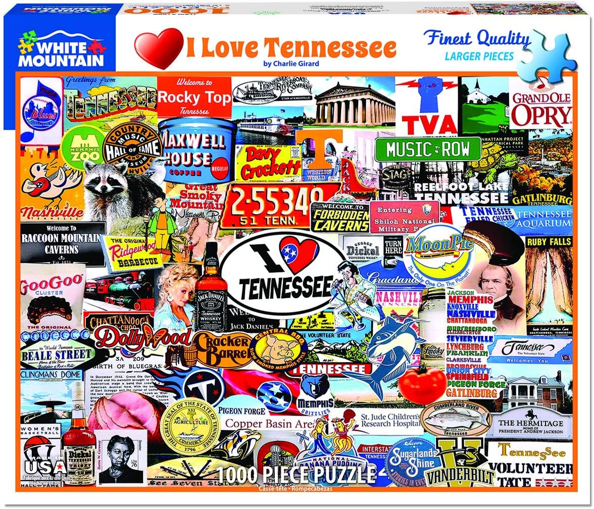 The 10 Best Tennessee Volunteers 3D Puzzle Building Blocks Set