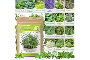 PLANTMEW Herb Seeds 15-Pack – 4,500+ Non-GMO Heirloom Seeds for Planting – Indoor & Outdoor Herb Garden Kit with Basil, Cilantro, Rosemary, Thyme, Dill, Sage – Medicinal & Culinary Herb Seeds Variety Pack