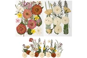 HOPELJ Dried Pressed Flowers for Crafts, 44 Pcs Natural Bulk Dried Flower Leave for Scrapbooking DIY Art Crafts, Epoxy Resin Jewelry Molds, Candle, Soap Making, Nails Décor