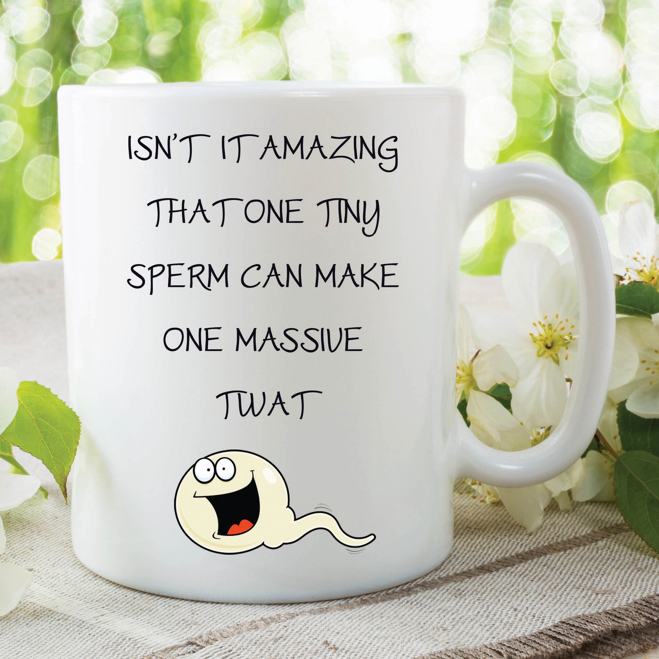 Explicit Funny Novelty Mugs Adult Humour Office Work Coffee Cup Gift WSDMUG195