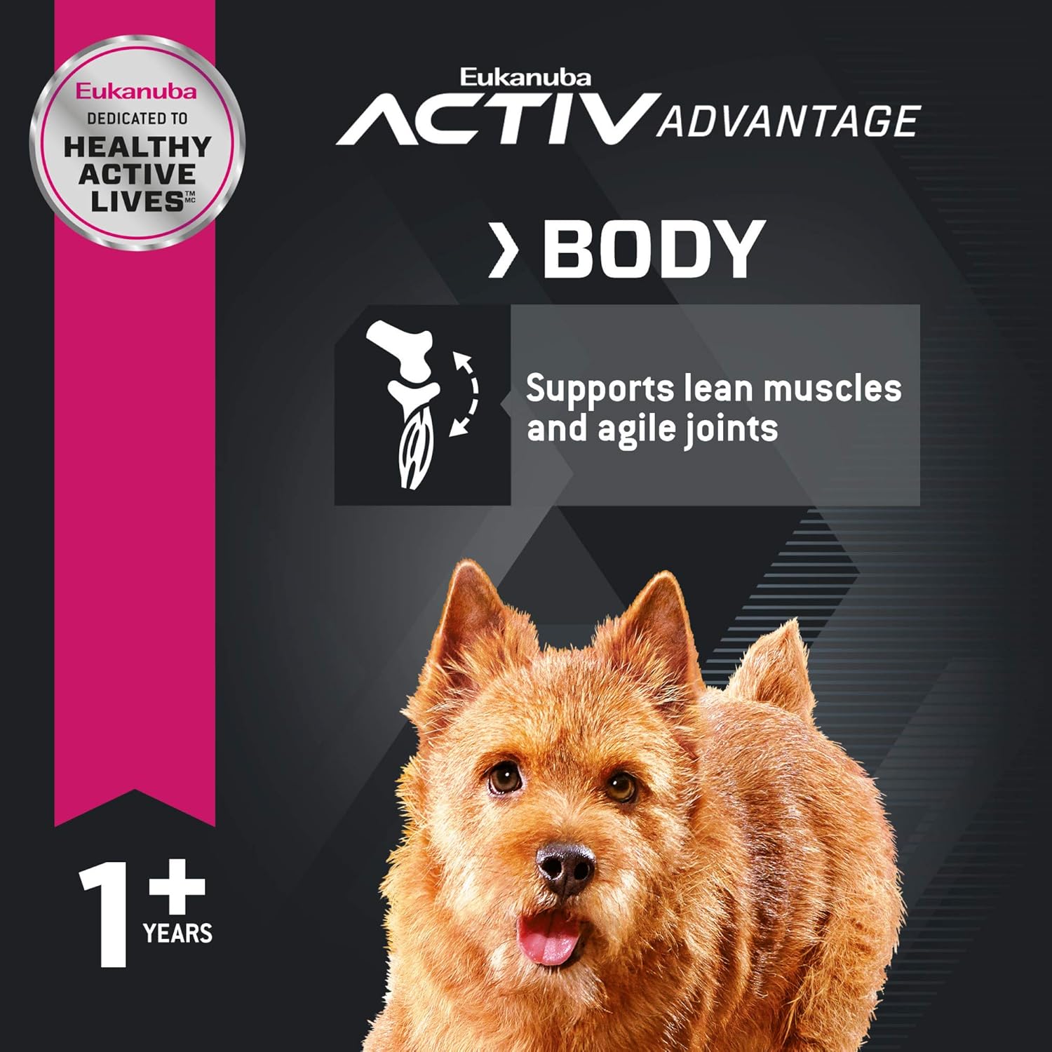 eukanuba small breed adult dog food