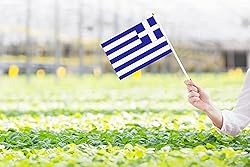50 Pack Greece Greek on Stick Flags,Small Mini Hand