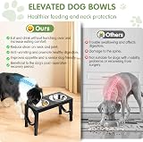 Aystkniet Raised Dog Bowls 5 Height Adjustable Stainless Steel Dual Bowls view 3