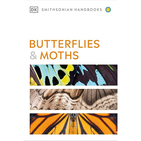The Complete Butterfly Book: Enlarged Illustrated Special
