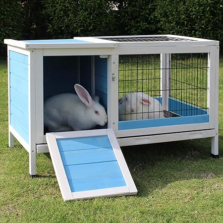 rabbit lives in hutch