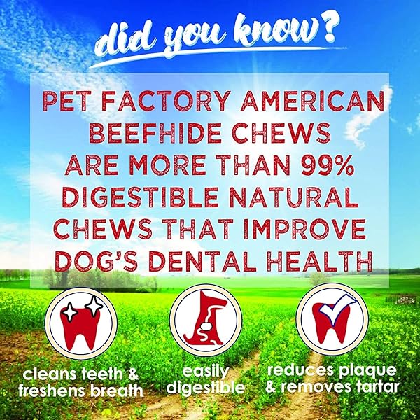 PET FACTORY AMERICAN BEEFHIDE 5″ TWIST STICKS DOG CHEW TREATS – NATURAL FLAVOR, 1 LB