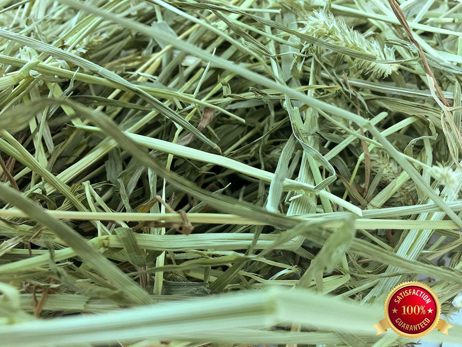 orchard hay for rabbits