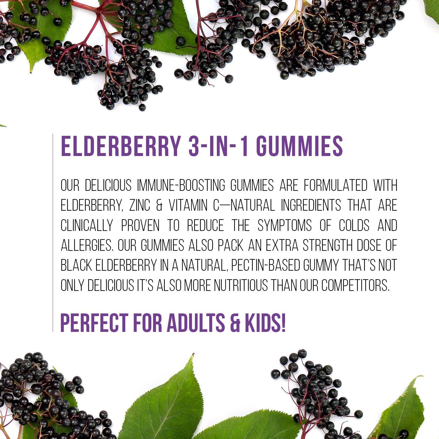 Havasu Nutrition Elderberry Gummies 100mg - Supports Immune System Health - Made with Plant-Based Pectin - NO Gelatin, NO Fructose Corn Syrup, Gluten Free - Natural Ingredients, 60 Gummies: Health & Personal Care