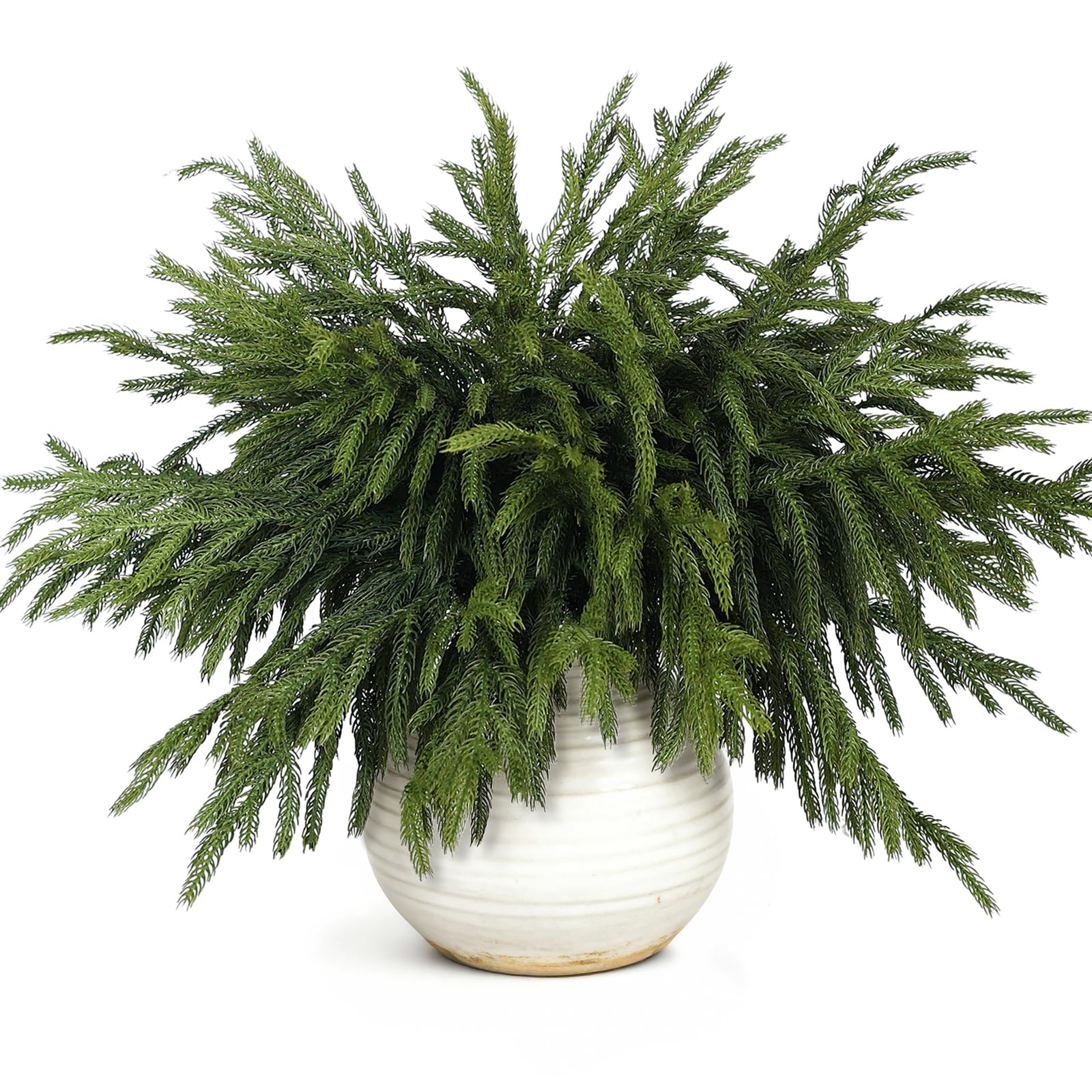 Photo 1 of 20 Pcs Christmas Norfolk Pine Branches -18" Real Touch Artificial Norfolk Pine Branch Faux Plants Stem Fake Greenery Pine Picks for Vase DIY Crafts Garland Wreath Home Indoor Outdoor Decoration