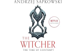 The Time of Contempt: The Witcher, Book 2