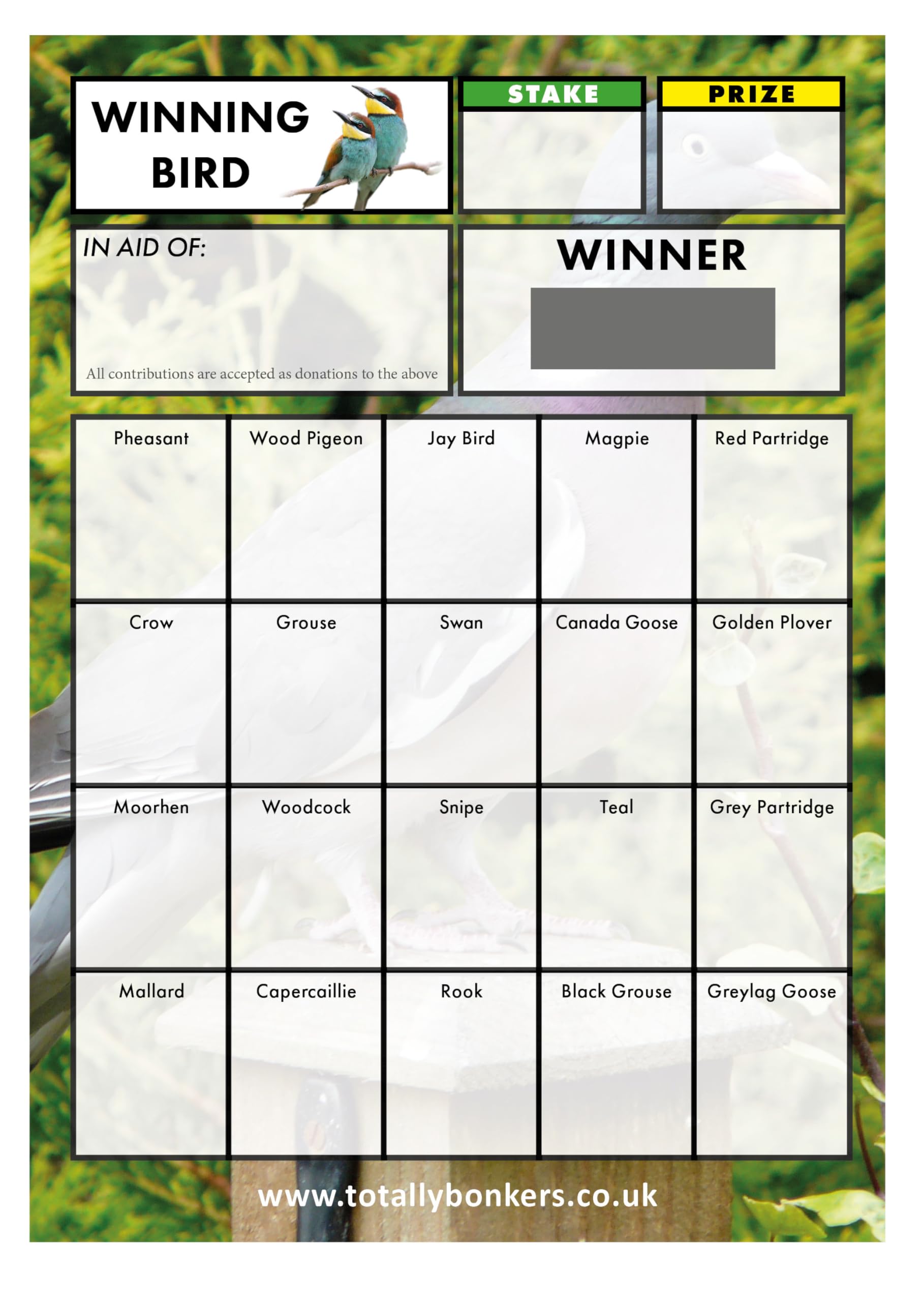 Totally Bonkers - Bird Fundraising Scratch Cards - 20 Square - A6 (148x105mm) -10 Pack - TB0021 - Blind Card