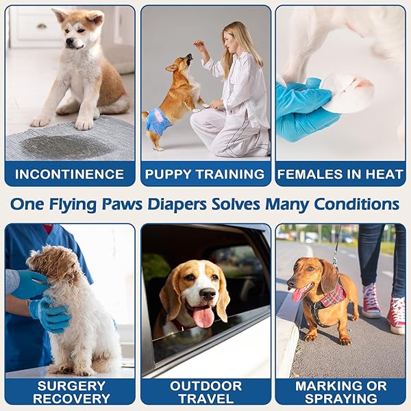 FLYING PAWS DOG DIAPERS FEMALE, DISPOSABLE DOG DIAPERS SMALL JEANS PATTERN DOGGIE PUPPY DIAPERS FEMALE CATS, X-SMALL, 32 COUNT
