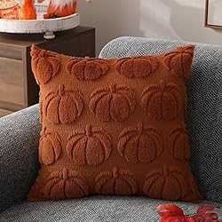 DFXSZ Fall Pillow Covers 20x20 Set of 2 Fall