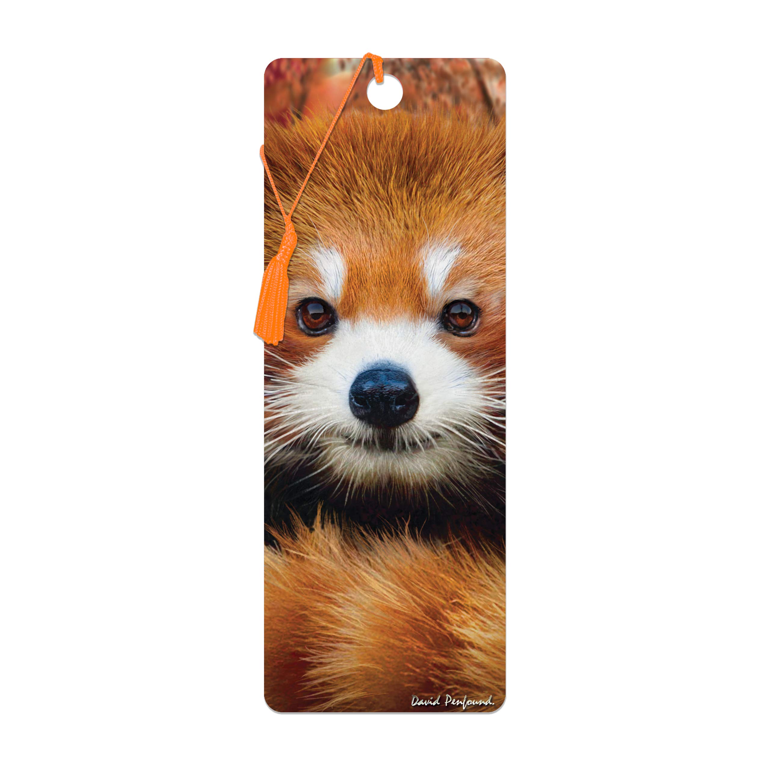 3D LiveLife Bookmark - Baby Red Panda from Deluxebase. Cute Lenticular Red Panda Page Marker. Animal Themed Accessories for Book Lovers. Small Gifts for Men, Women, Writers and Teachers. — image 1