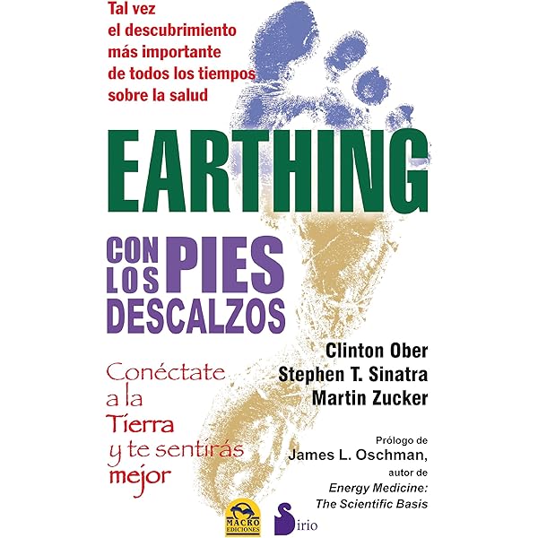 Earthing Con Los Pies Descalzos 13 Spanish Edition Martin Zucker Y Otros Herranz Perez Isabela Amazon Com Books