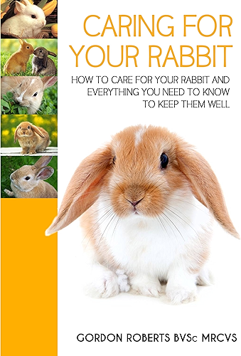 Download Caring For Your Rabbit: How to care for your Rabbit and everything you need to know to keep them well (English Edition) PDF