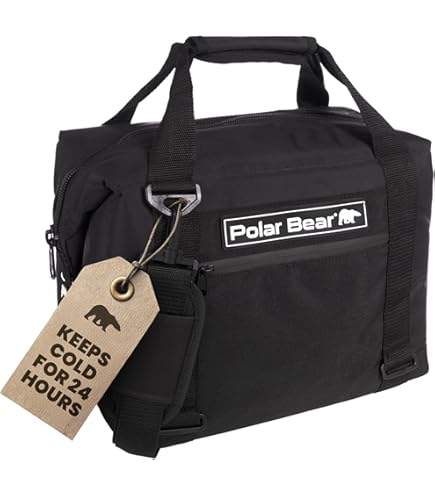 Amazon.com : AO Coolers Original Soft-Sided Cooler Bag, Leak