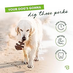 Benebone Fishbone Durable Dog Chew Toy for