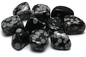 GEOFOSSILS Snowflake Obsidian Tumble Stone (20-25mm) - Single Stone