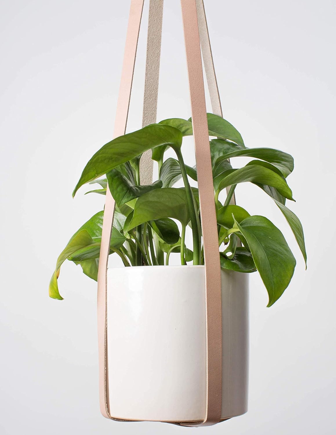 The 10 Best Teak Ladder Planter