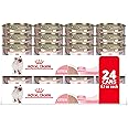Royal Canin Feline Health Nutrition Kitten Loaf in Sauce Canned Cat Food, 5.1 oz can (24-count)