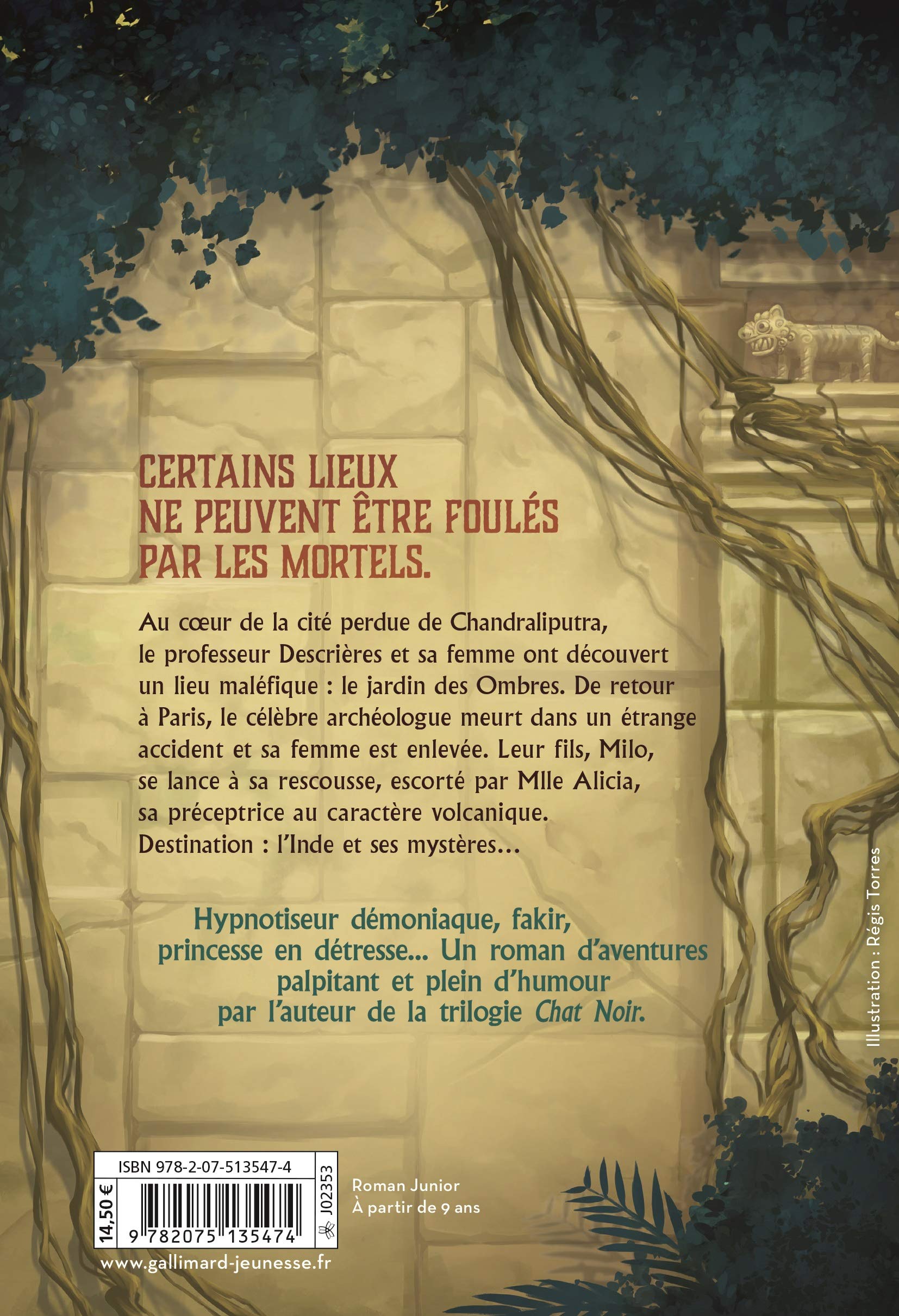 La Legende Du Jardin Des Ombres Darko Yann Torres Regis Amazon Com Books