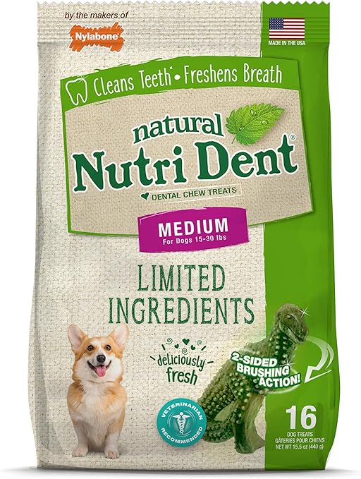 nylabone nutri dent small