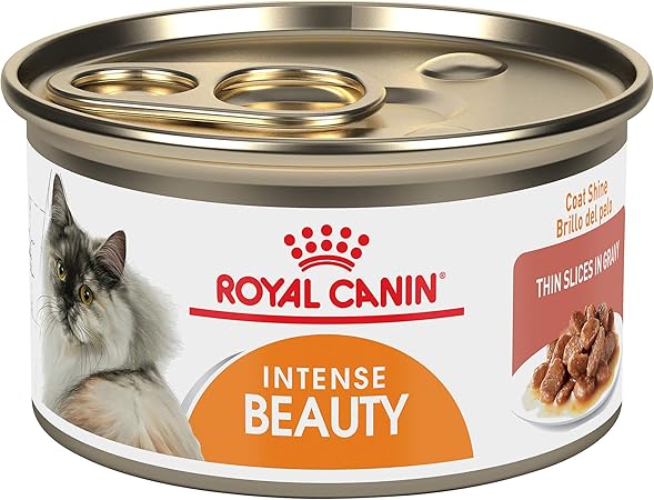 canned cat