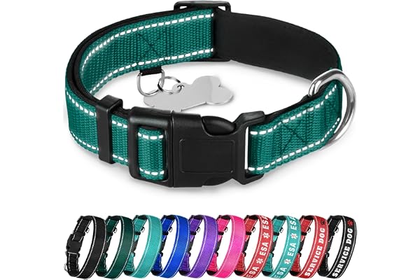 TECEUM Reflective Pet Collar – Dark Emerald Green – M – Extra Soft Padding – Nylon Dog Collar – Quick Release Buckle – Fits S