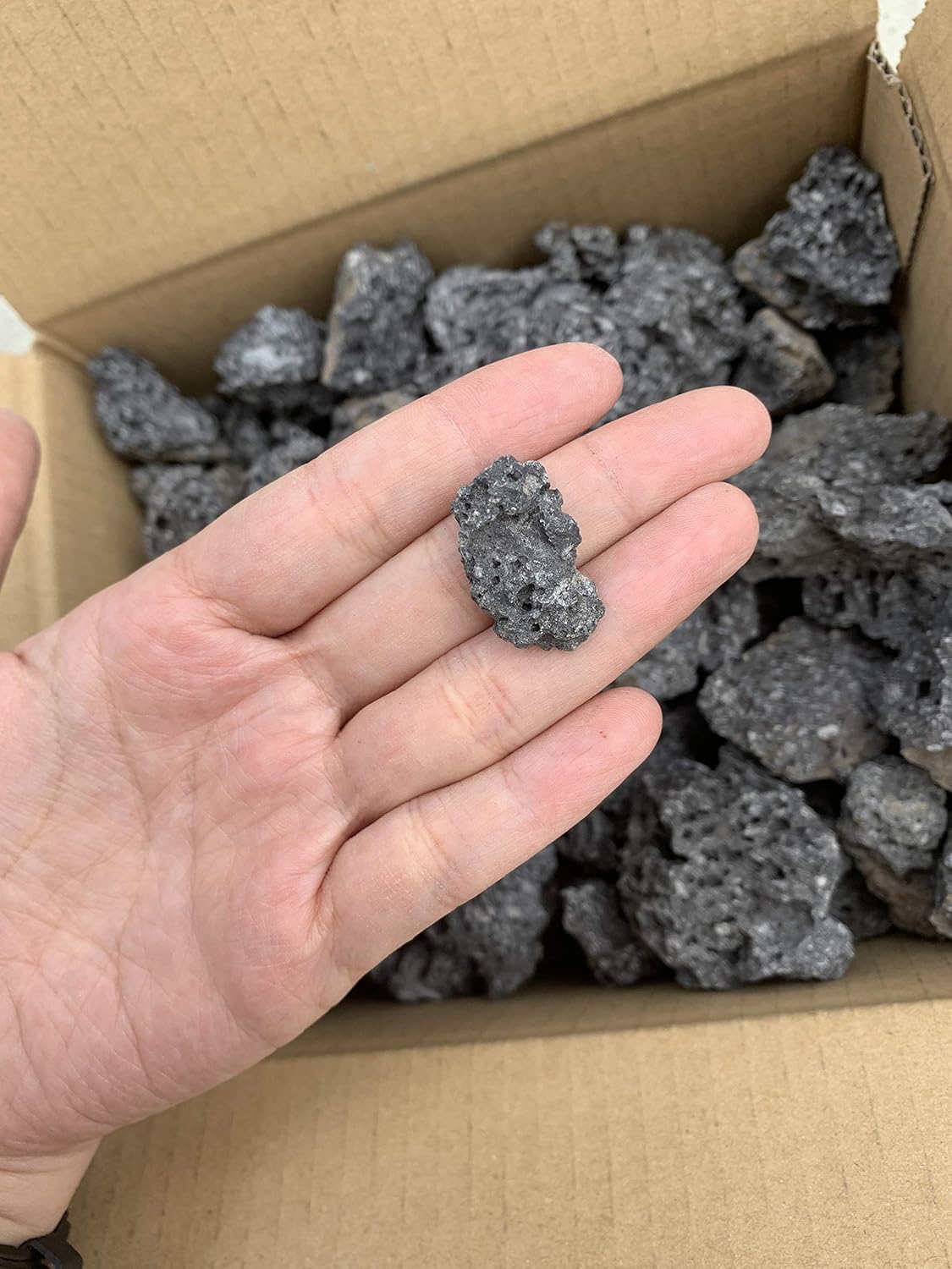 Amazon 溶岩砂利 高濾過 2キロ 40 黒 水槽 レイアウト 石 飾り 花壇 ガーデン アクアリウム 水質改善 アルカリ 4キロ 富士山溶岩石 底床 通販