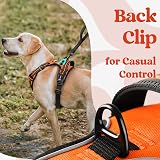 rabbitgoo Large Dog Harness No Pull Front Back Clips Reflective Orange L view 8