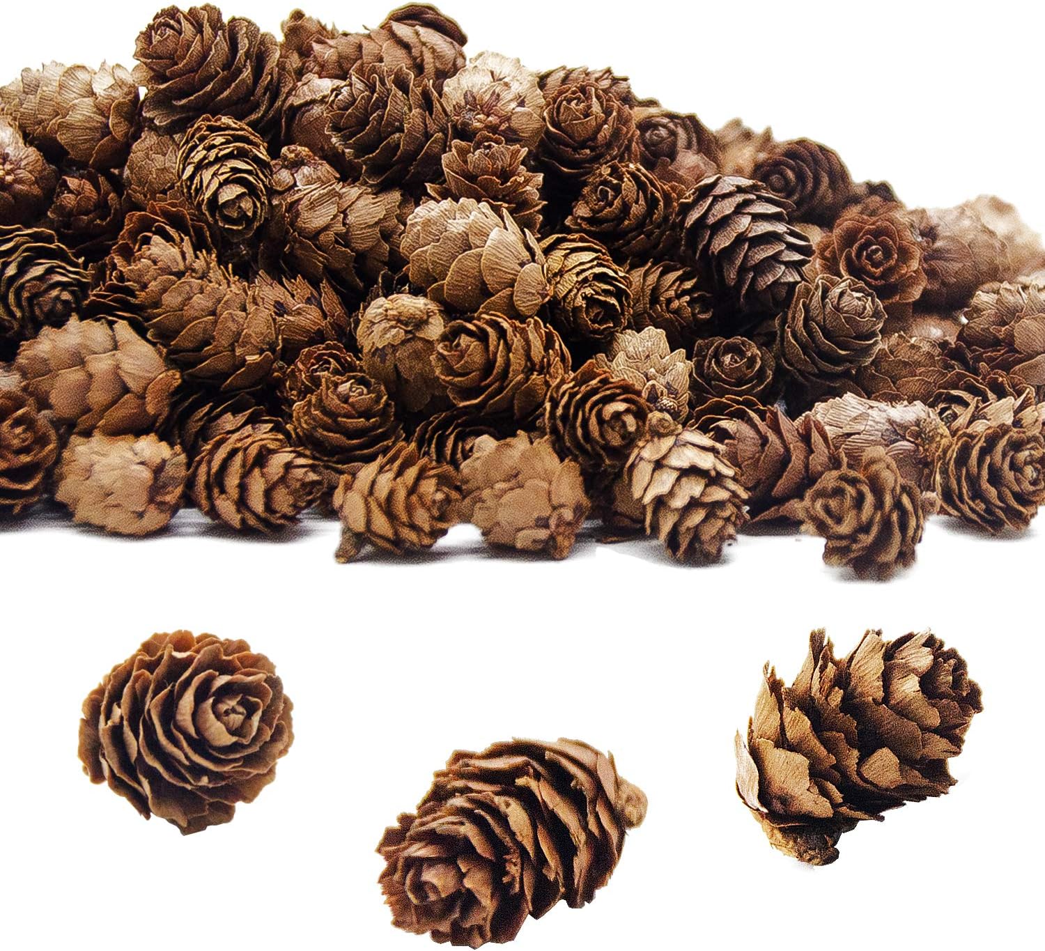 Vase Fillers - SHANGXING 400 PCS Christmas Natural Mini Pine Cones-11.28 oz Thanksgiving Pine Cones Ornaments for DIY Crafts, Home Decorations,Fall and Christmas,Wedding Decor