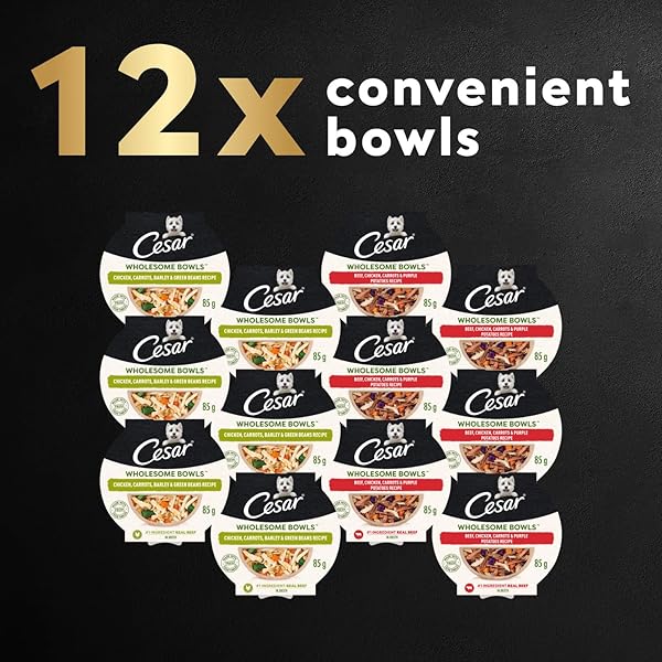 CESAR WHOLESOME BOWLS ADULT WET DOG FOOD, CHICKEN, CARROTS, BARLEY & GREEN BEANS RECIPE AND BEEF, CHICKEN, PURPLE POTATOES & CARROTS RECIPE VARIETY PACK, WET FOOD FOR DOGS, 3 OZ., 6 COUNT